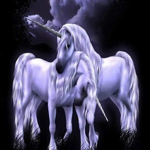 Meet your Posher, Destiny